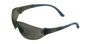 Artic Elite MSA Safety Glasses - IRP Fire & Safety